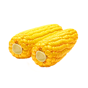 Corn PNG image-5281